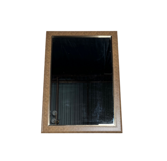 Snake Skin Mirror