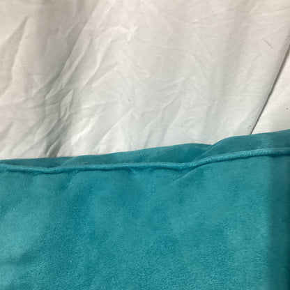 Teal Pillow