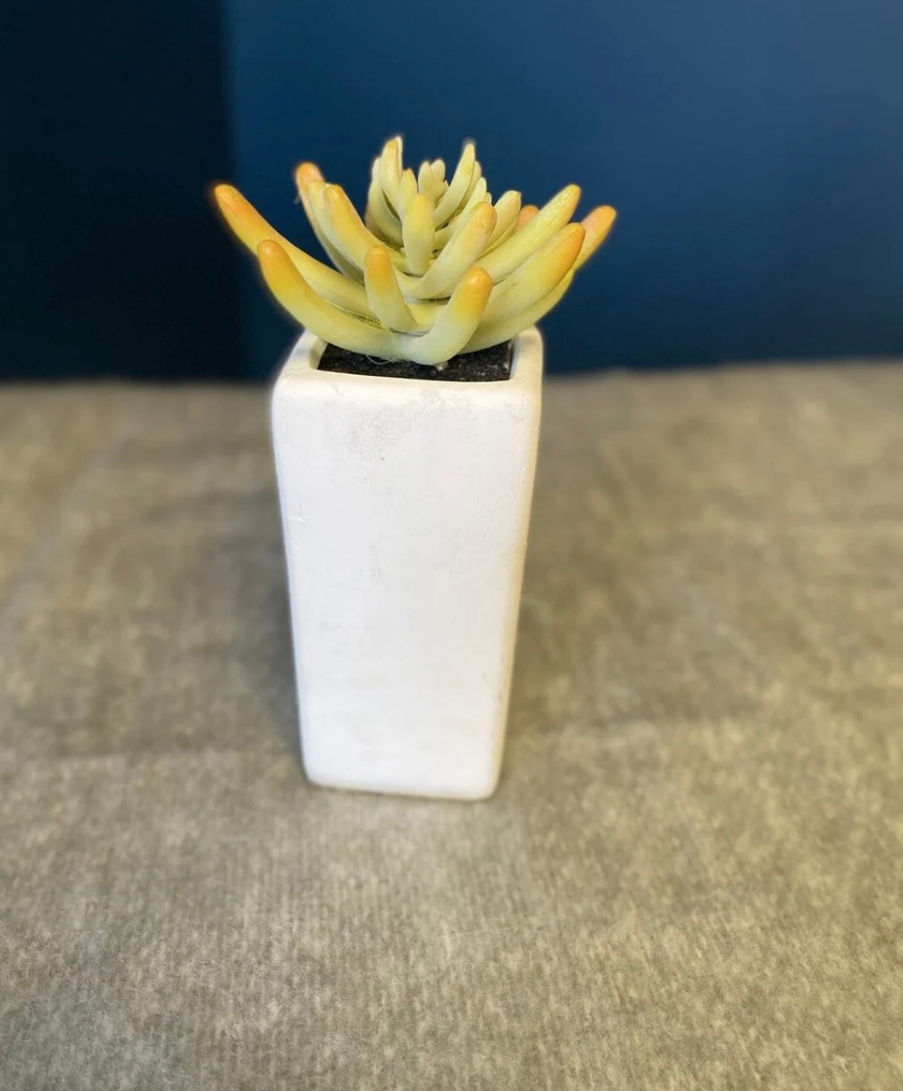 Faux Plant W/ White Vase- Open Box