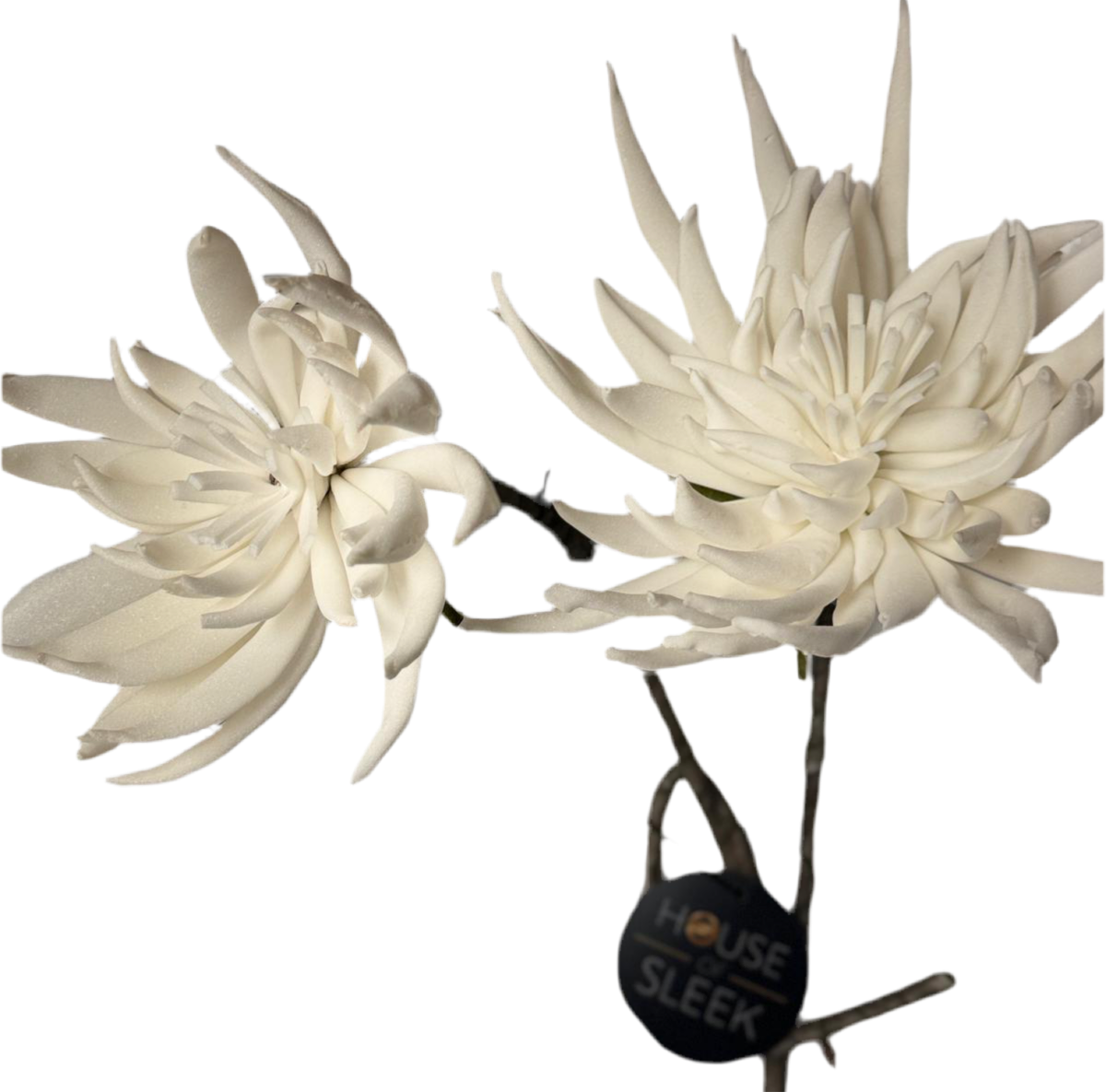 White Flower Stem