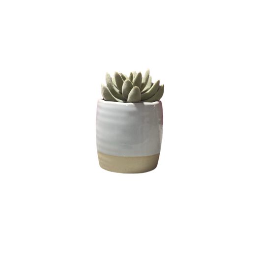 Petite table top faux plant