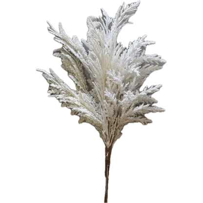Pampas Grass Stem- Open Box