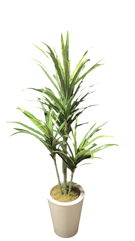 Large Faux Dracaena plant - open box