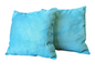 Teal accent pillow