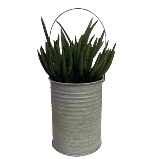 Synthetic sea aloe