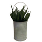 Synthetic sea aloe