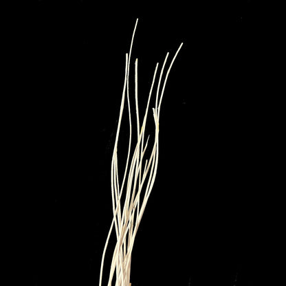 White Wood sticks- 4’ 10”