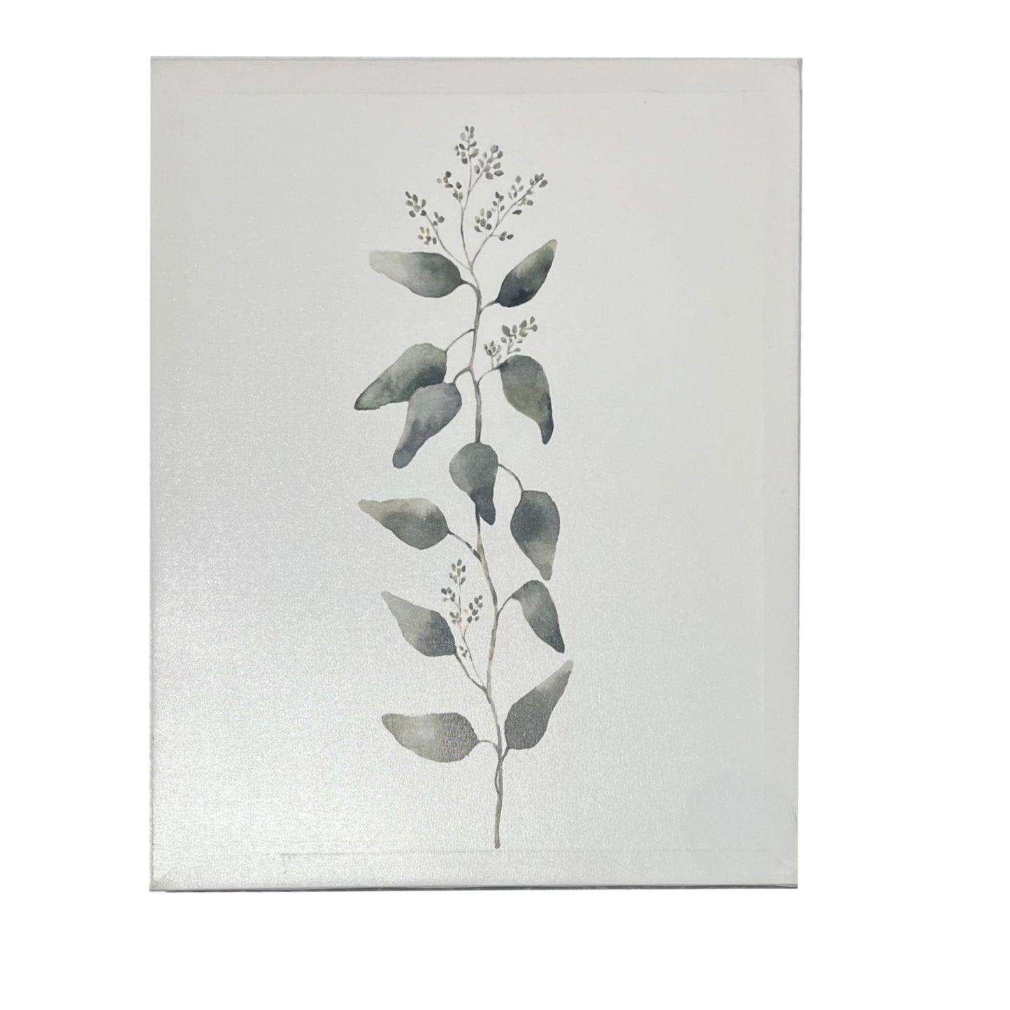 15”x19” Plant Wall Art