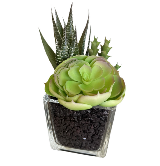 Faux Succulent In Glass Vase