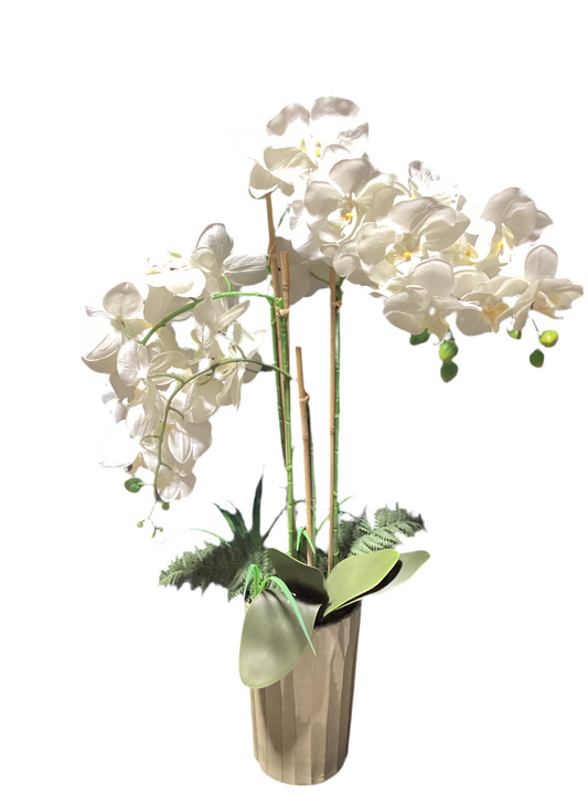 White faux orchid - open box-8153
