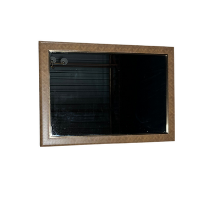 Snake Skin Mirror