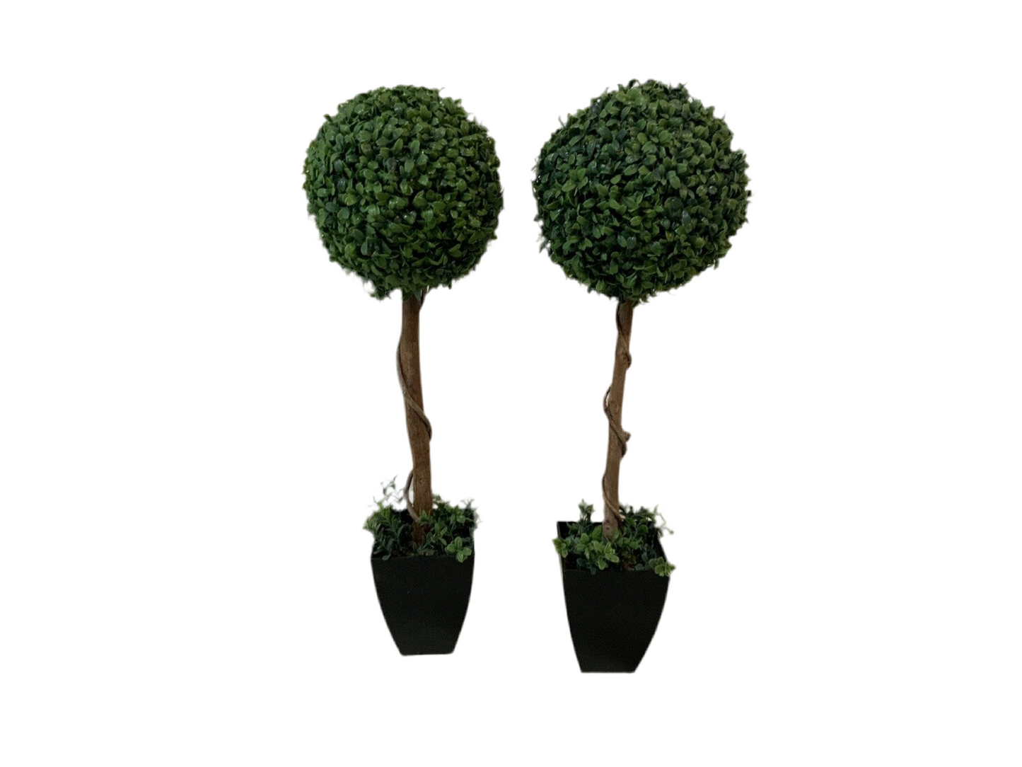 Faux Boxwood Topiary SET OF 2- Open Box-8120