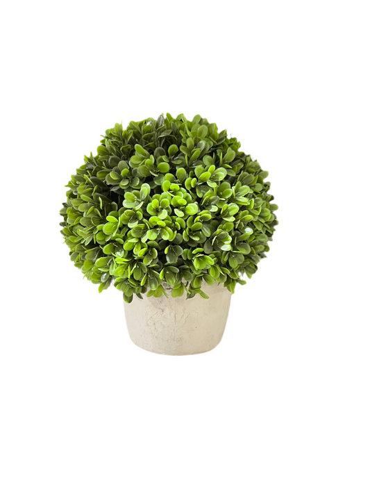 Faux Boxwood Plant-OPEN BOX