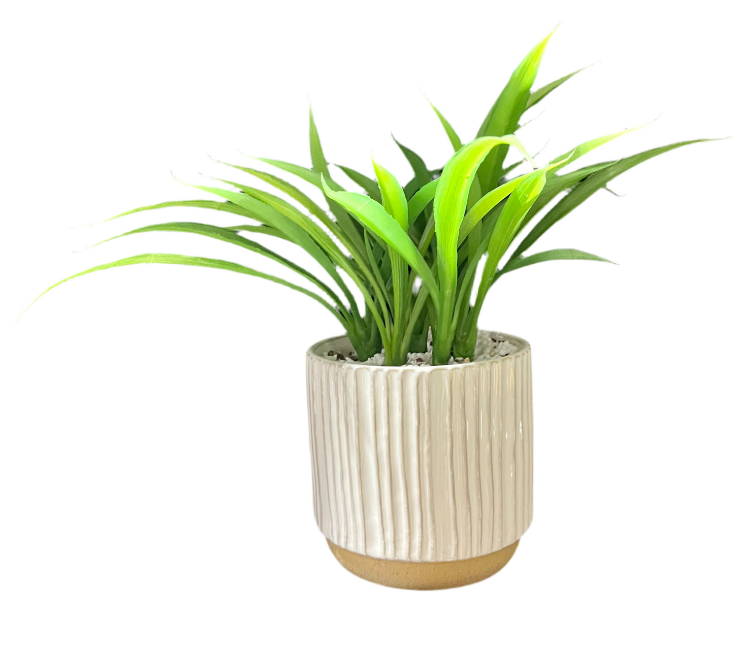 Faux Accent Plant in Two-Tone Grooved Planter