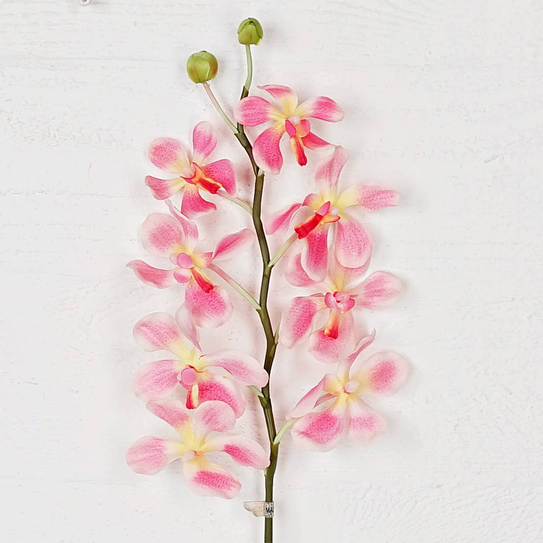 Artificial pink orchid branch on a white background