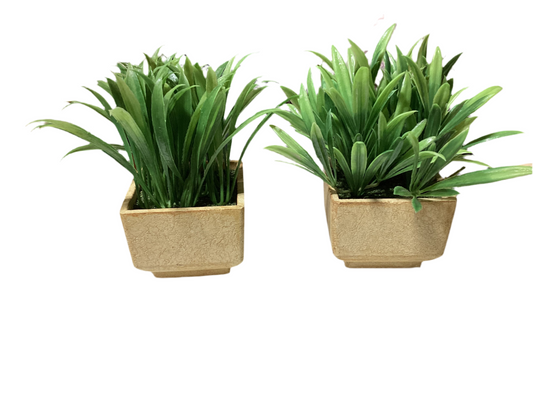 Small faux plant-8148
