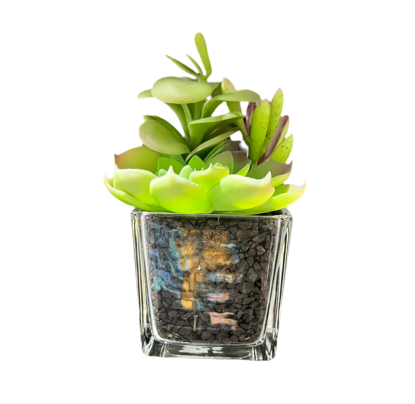 Faux 6’’ Succulent