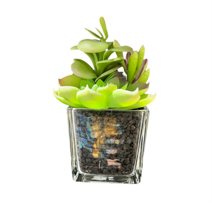 Faux 6’’ Succulent