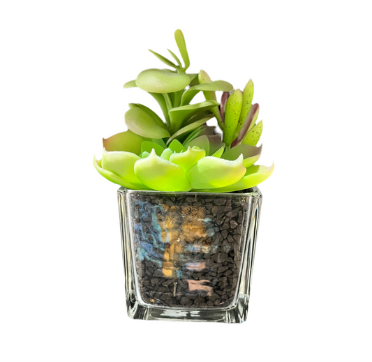 Faux 6’’ Succulent