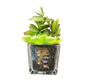 Faux 6’’ Succulent