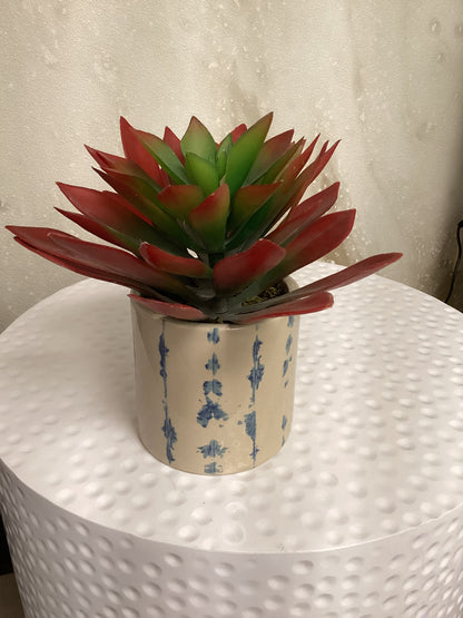 Faux Echeveria Plant