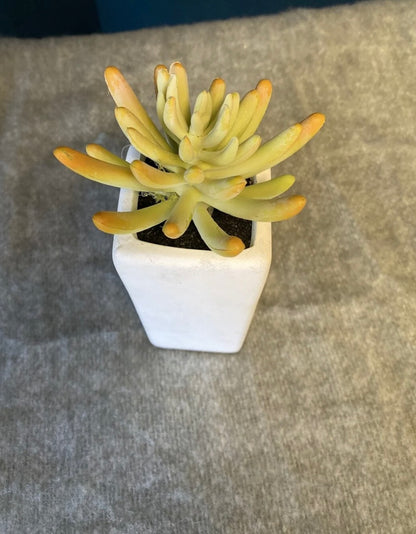 Faux Plant W/ White Vase- Open Box