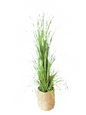 Medium Woven Basket Floor Plant