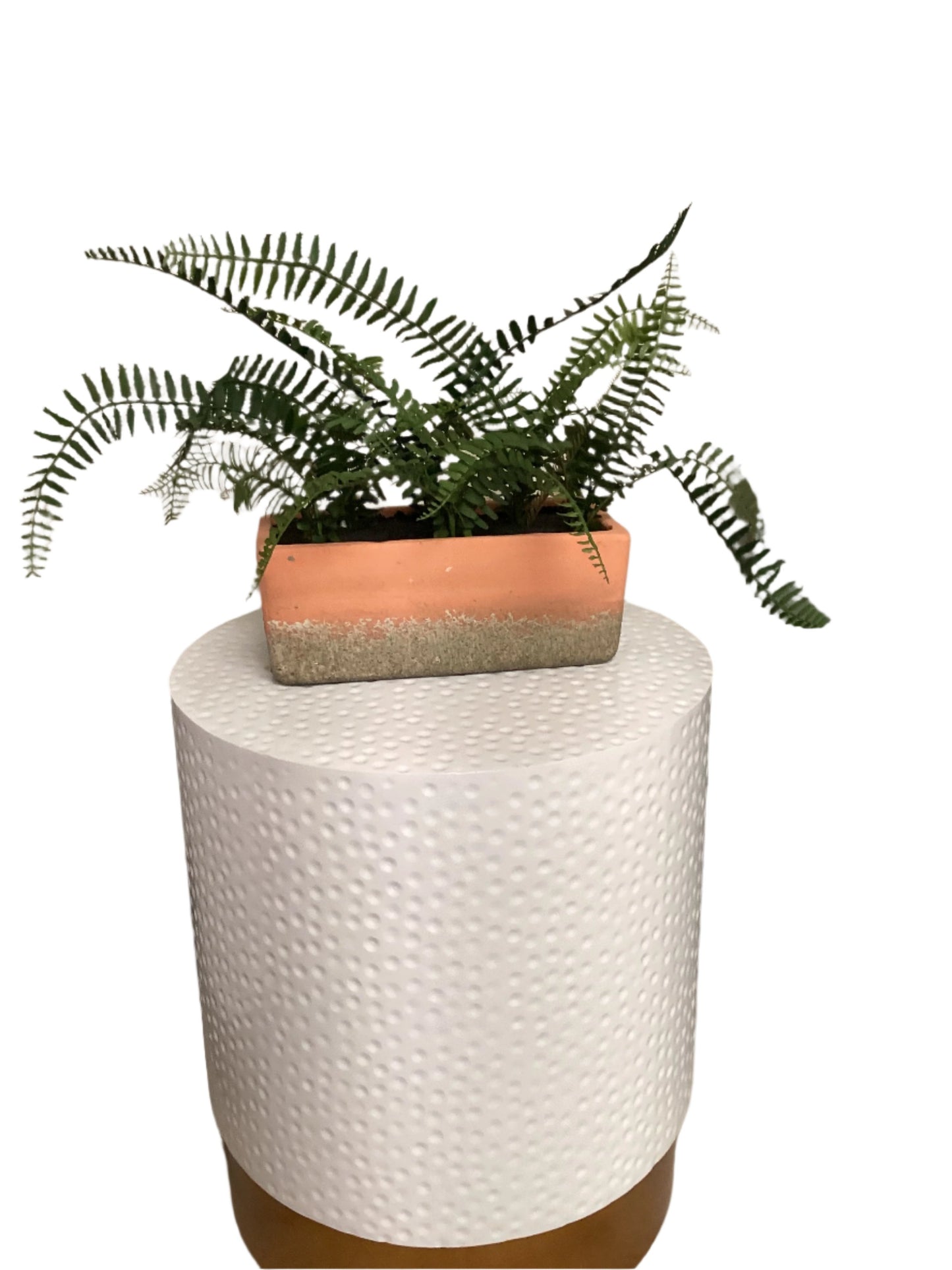 Artificial Fern Plant-Open Box