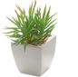 Tapered Mini faux succulent potted plant-spike open box-8151
