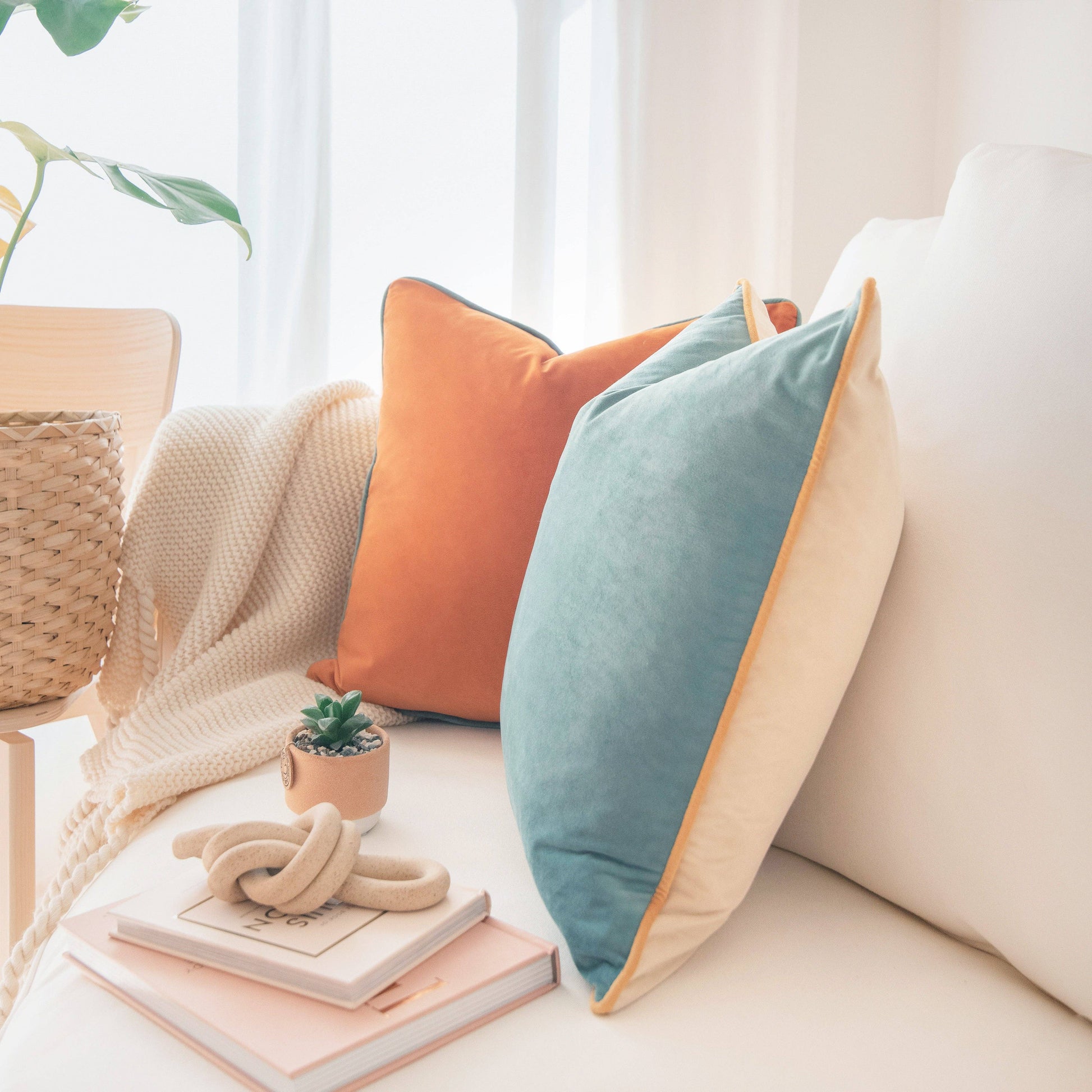 Decorative pillows on a sofa with books and a plant in a bright room.