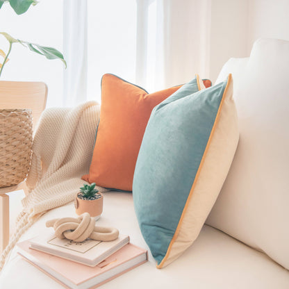 Decorative pillows on a sofa with books and a plant in a bright room.
