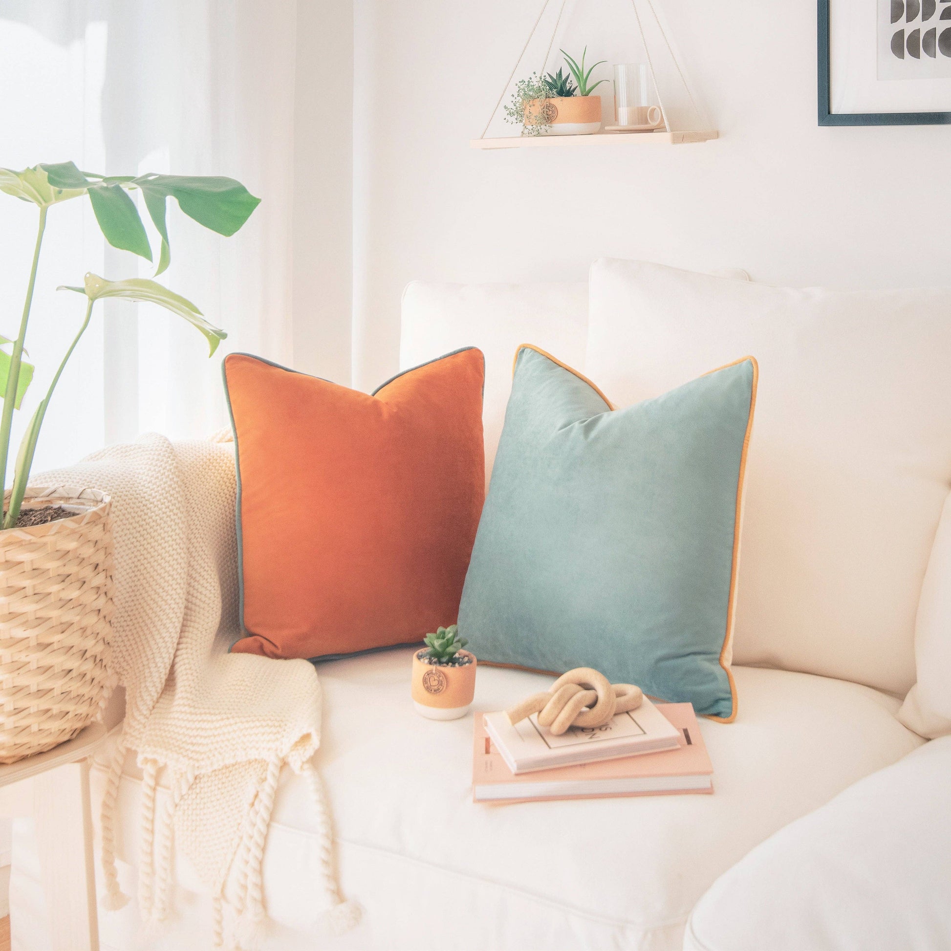 Decorative pillows on a sofa with a plant and books in a cozy living room.