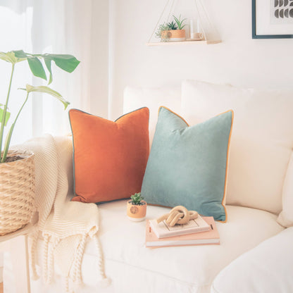 Decorative pillows on a sofa with a plant and books in a cozy living room.