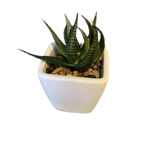 Small Faux Plant Decor - Open Box