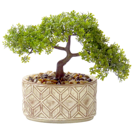 Bonsai tree in a decorative pot with a geometric pattern on a white background