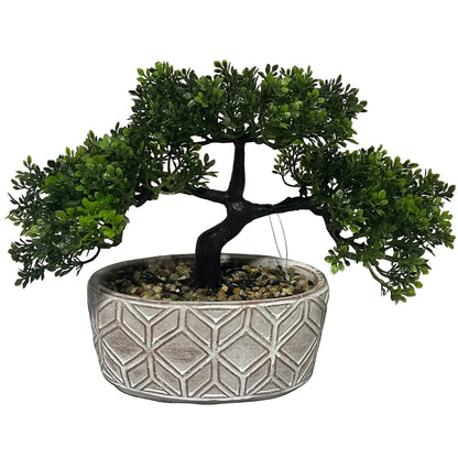 Bonsai tree in a decorative pot on a white background
