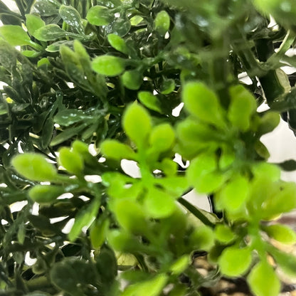 Close-up of green leaves with a blurred background