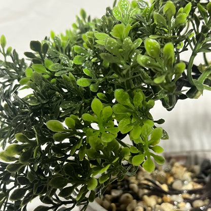 Close-up of a green leaves of bonsai plant with a blurred background