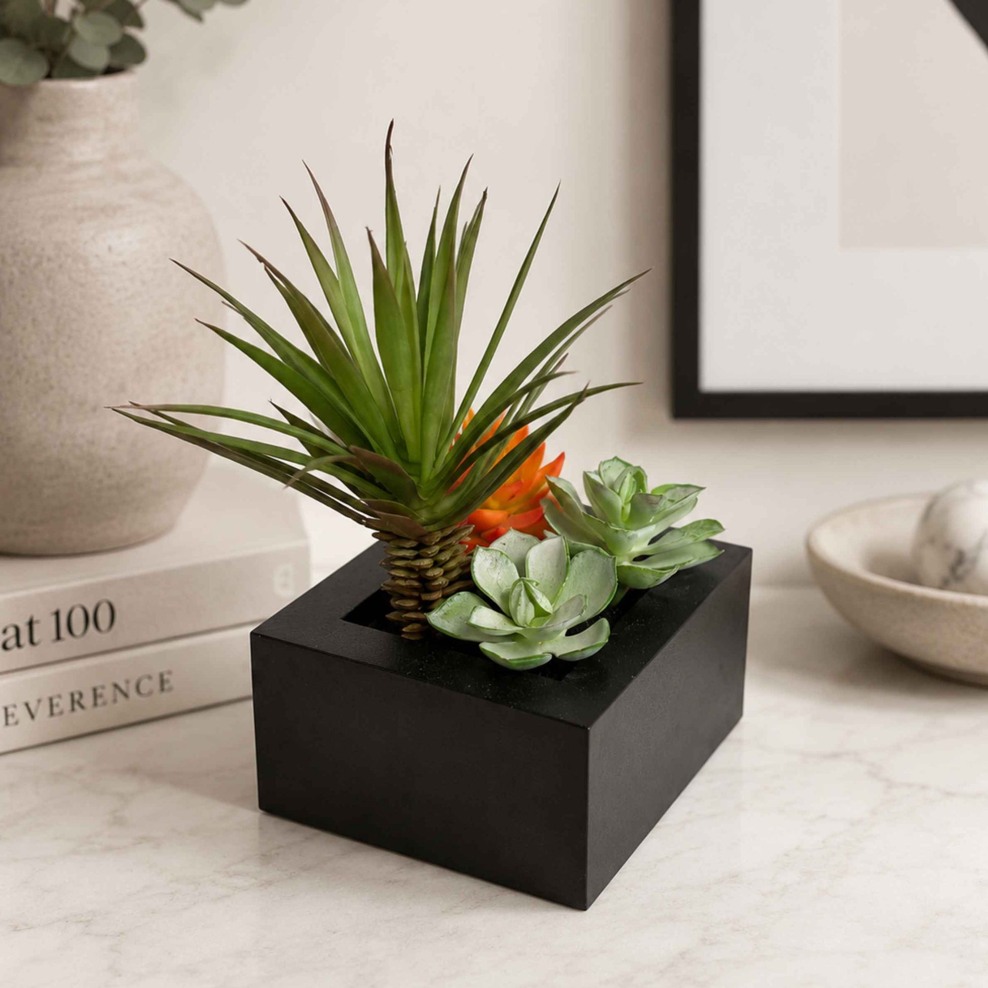 Succulents in black square planter box