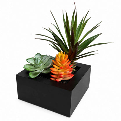 Artificial plants including a succulent and air plant in a black square planter box 