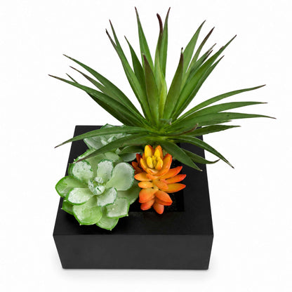 Artificial succulent plants in a black square planter box