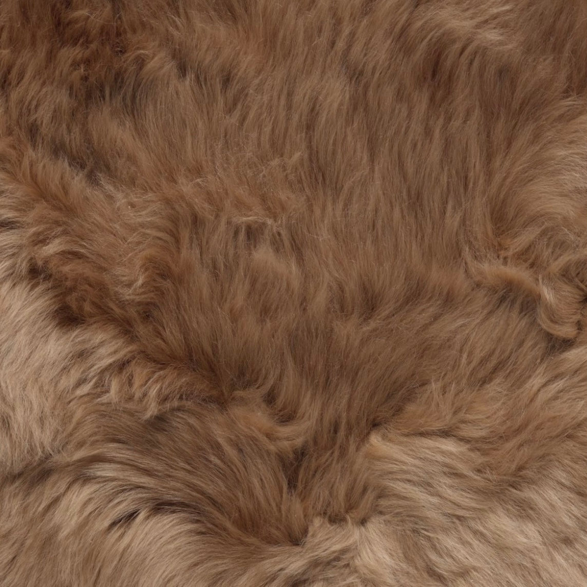 Honey Brown Sheepskin Rug-OPEN BOX