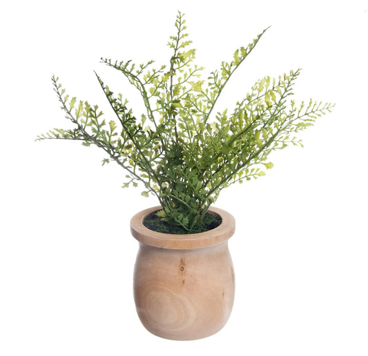 Faux Fern Accent- Open Box