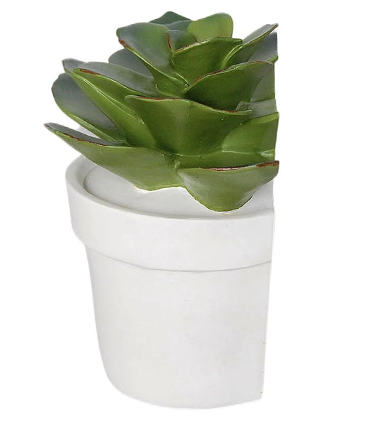 1-Piece Succulent Bookend, 6"