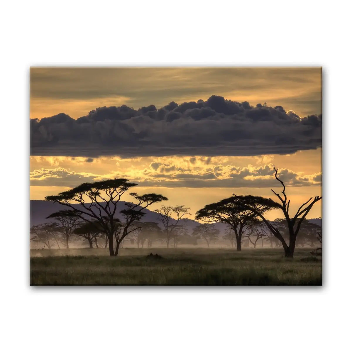 Good Evening Canvas 30"X40"