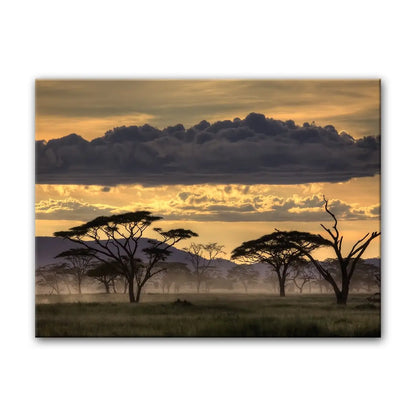 Good Evening Canvas 30"X40"