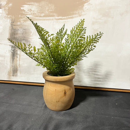 Faux Fern Accent- Open Box