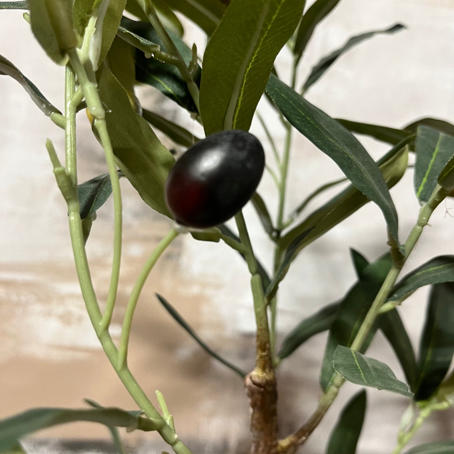 Faux Olive Tree In Ceramic Pot-Open Box