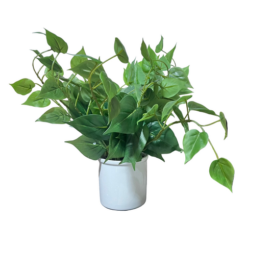 Trailing Faux Greenery in White Ceramic Pot-OPEN BOX