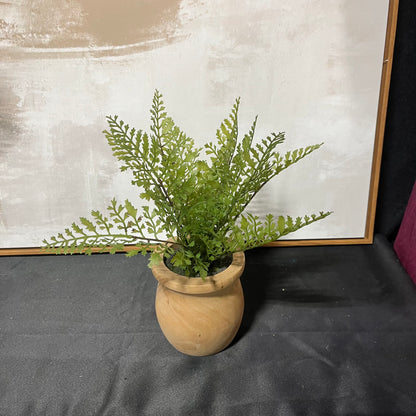 Faux Fern Accent- Open Box